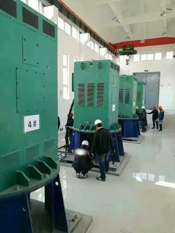麻栗坡某污水处理厂使用我厂的立式高压电机安装现场